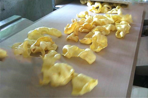 面點(diǎn)類食品輸送帶